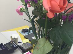 -英孚教育青少儿(河东资深教研中心)