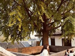 -自如ZSPACE四合院艺术餐厅