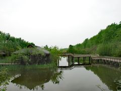 -溱湖国家湿地公园