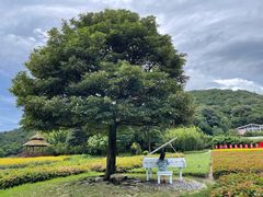 景点-广州市石门国家森林公园