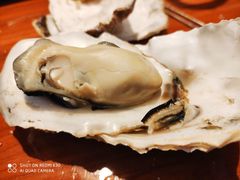 -千岛蚝高压锅生蚝·人参火锅(白云万达店)