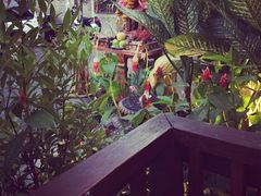 iphone_upload_pic-Dash Teak House