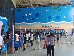 -泉城欧乐堡海洋极地世界