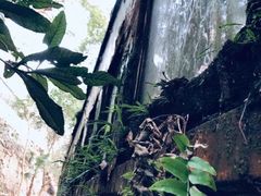 -中国铁路上海局集团有限公司杭州职工培训基地
