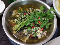 -梦田音乐miniLIVE(漳州店)