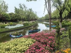 -上海鲜花港