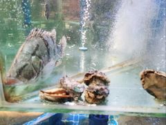 -同喜烤鸭店(光芒店)