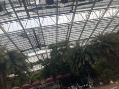 -龙达温泉生态城