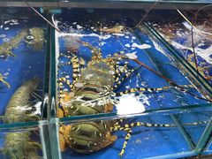 -班赞海鲜市场