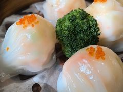 -金龙寨(龙城路店)