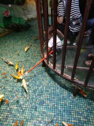 -酷嗒动物文化乐园(cutezoo西溪乐天城店)