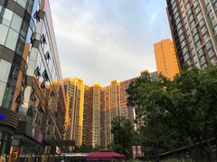 -巴依老爷新疆美食(望京小街店)