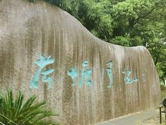 -荷塘月色湿地公园·向阳花洲
