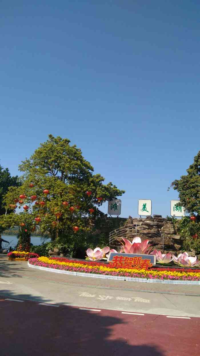 东坑农业园-"每天都是那么多人,每个晚上也是那么多人,.