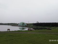 -上海都市菜园