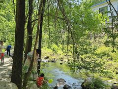 -玉渡山自然风景区