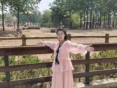 -大连森林动物园