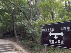 -紫金山天文台