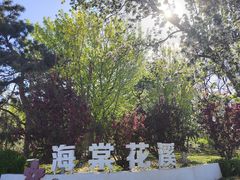 -元大都城垣遗址公园
