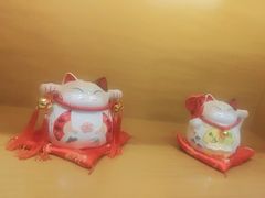 -黑松白鹿(金融街店)