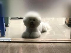 -争渡心理咨询全国连锁(福田店)