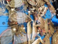 -川骄海鲜自助(河东店)