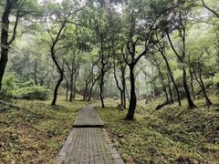 -南京珍珠泉风景区