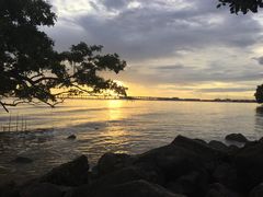 -宝安西湾红树林湿地公园