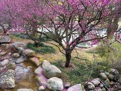 -庐山风景名胜区-东林大佛