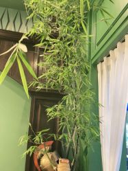 -海文先生国潮烫染男士理发馆