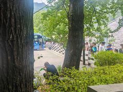 -牛背梁国家森林公园