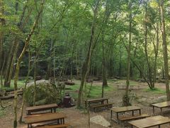 -牛背梁国家森林公园