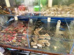 水产区-来之顺海鲜菜馆·青岛菜(栈桥店)
