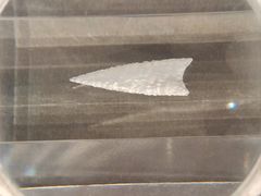 -齐齐哈尔市博物馆