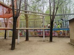 -西部长青自然儿童乐园