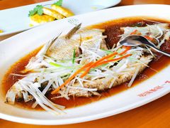 -丹江渔村(望京店)