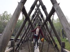 -溱湖国家湿地公园