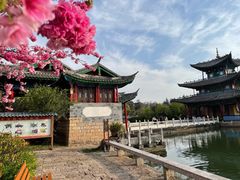 -黑龙潭公园