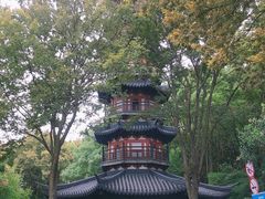 -上海佘山国家森林公园西佘山园