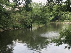 -西湖外事游船(花港观鱼码头)