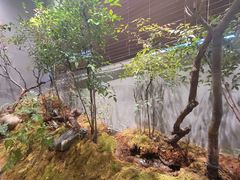 -森SPA·泰式按摩·精油Massage(宝安中心店)