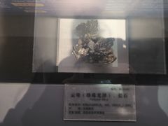 -湖南省地质博物馆