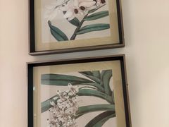 -花舍·新派粤菜·西餐·下午茶(亚运村·鸟巢店)