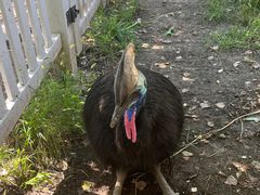 -哈尔滨北方森林动物园