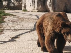 -鄂尔多斯野生动物园