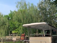 -西青郊野公园