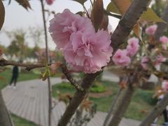 -环城公园-琥珀潭