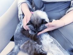 -怪兽屋·羊驼·猫咖·狗咖(俊华广场店)