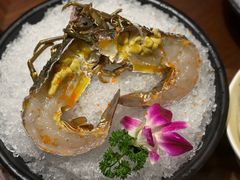 -东海怡品海鲜豆捞(舟宿夜江店)
