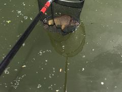 -酷鱼垂钓CLUB(朝阳区博大路店 )